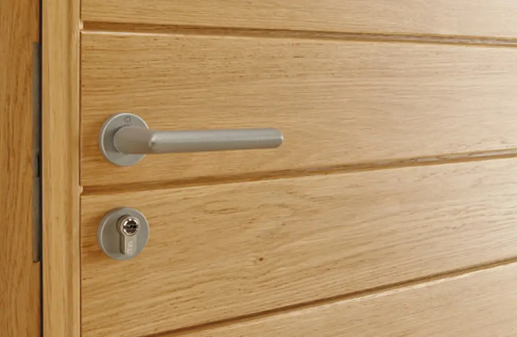 Modern Eco Porte entree bois durabilite
